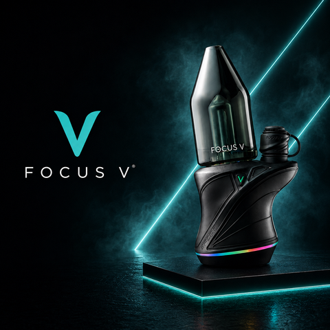 Focus V