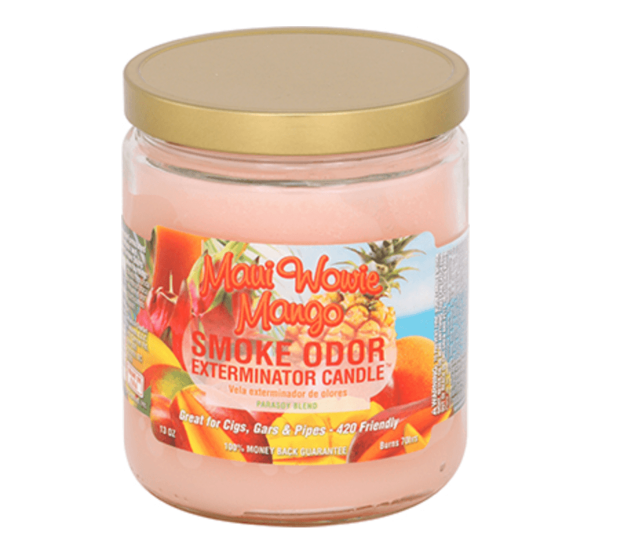 Smoke Odor | Candle | Maui Wowie Mango - Wild Leaf