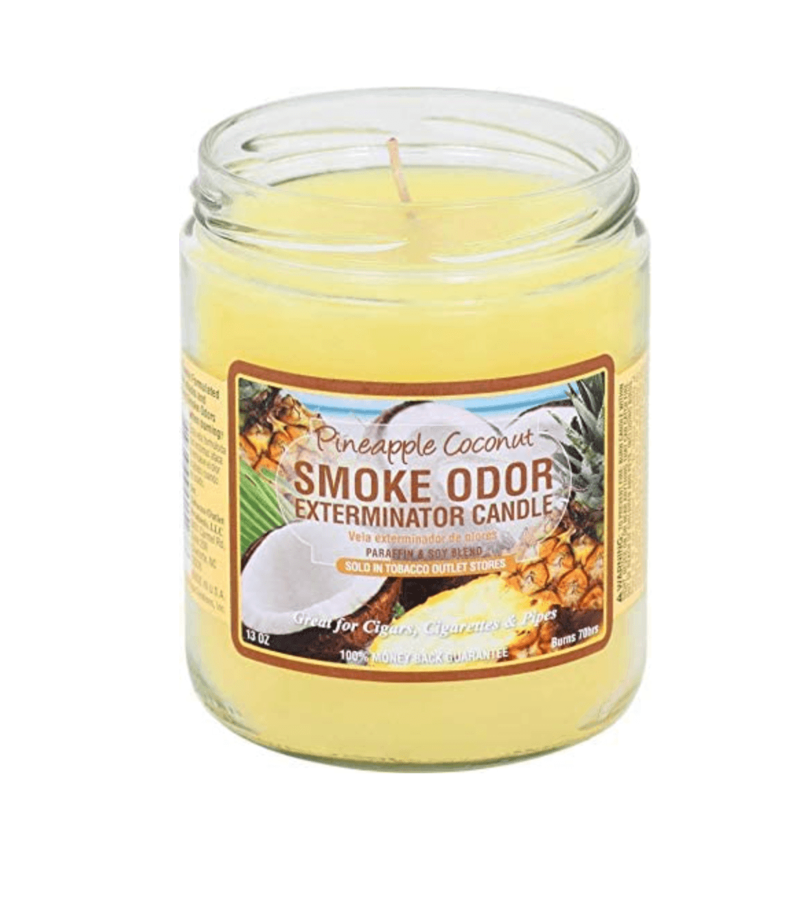 Smoke Odor | Candle | Pineapple Coconut - Wild Leaf