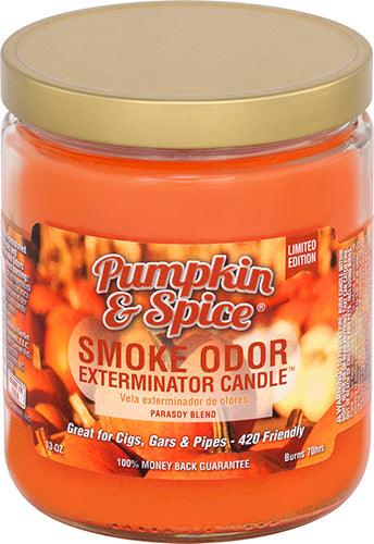 Smoke Odor | Candle | Pumpkin & Spice - Wild Leaf